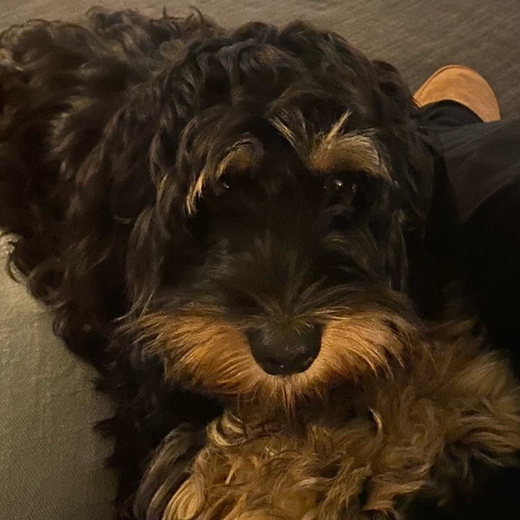 Meet your Posher, Kerry - Picture 6 of 8